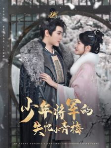 少年将军的失忆小青梅