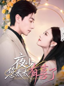 夜少,您太太有喜了