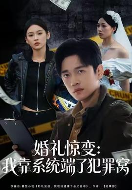 婚礼惊变:我靠系统端了犯罪窝