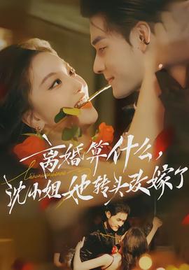 离婚算什么,沈小姐她转头改嫁了