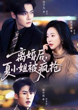 离婚后,夏小姐被疯抢